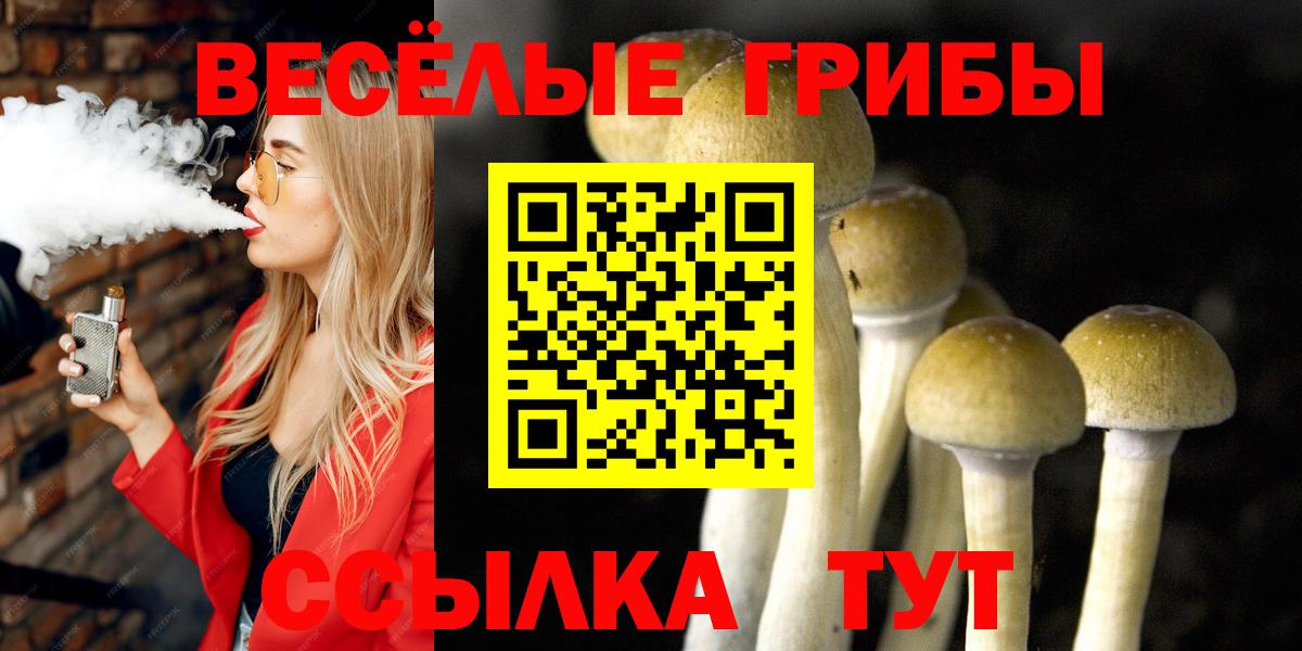 Псилоцибиновые грибы ЛСД Красноперекопск